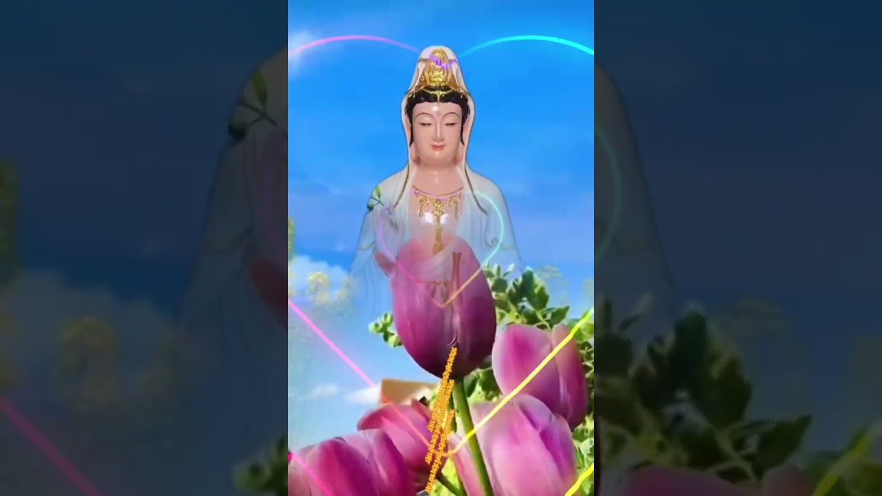 🙏🙏🙏NAM MÔ QUÁN THẾ ÂM BỒ TÁT 🌹🌹🌹🌻🌻🌻💛🧡❤️🌼🌼🌼🌺🌺🌺🌸🌸🌸🍀🍀🍀🌹🌹🌹💛🧡❤️🪷🪷🪷