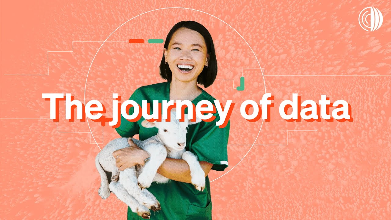 The Journey of Data: The WAHIS database