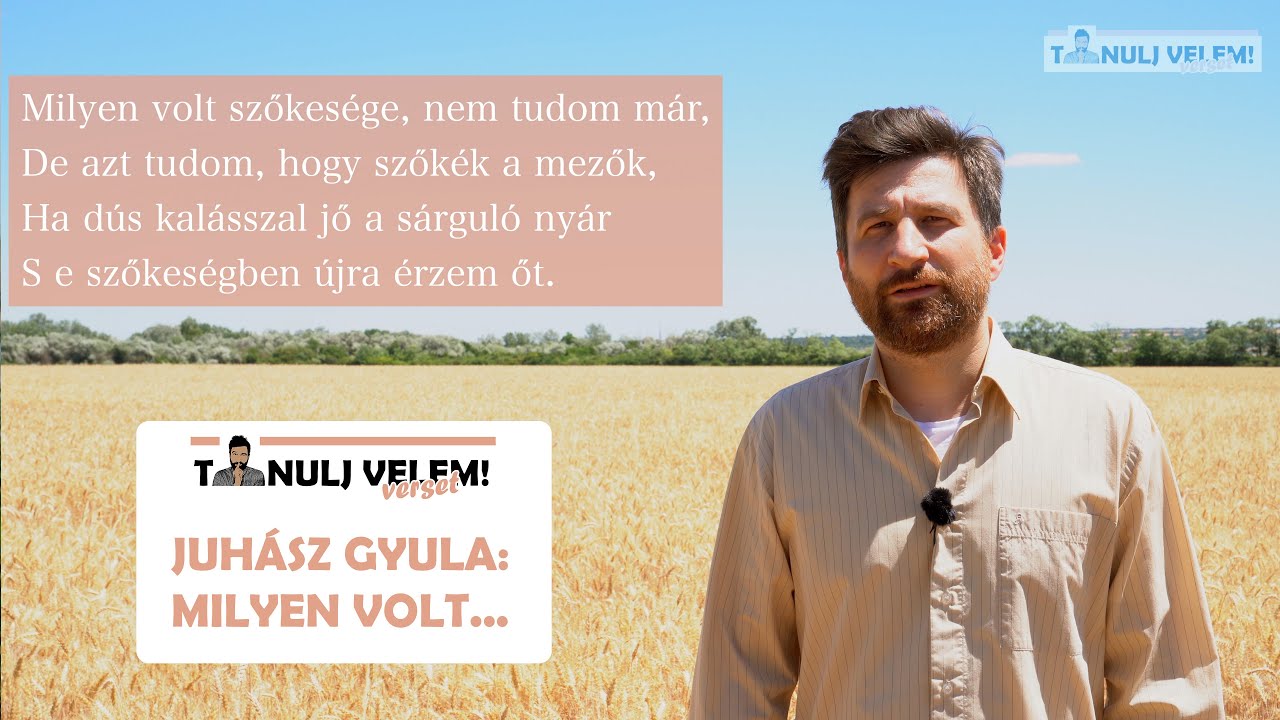 Juhász Gyula - Milyen volt