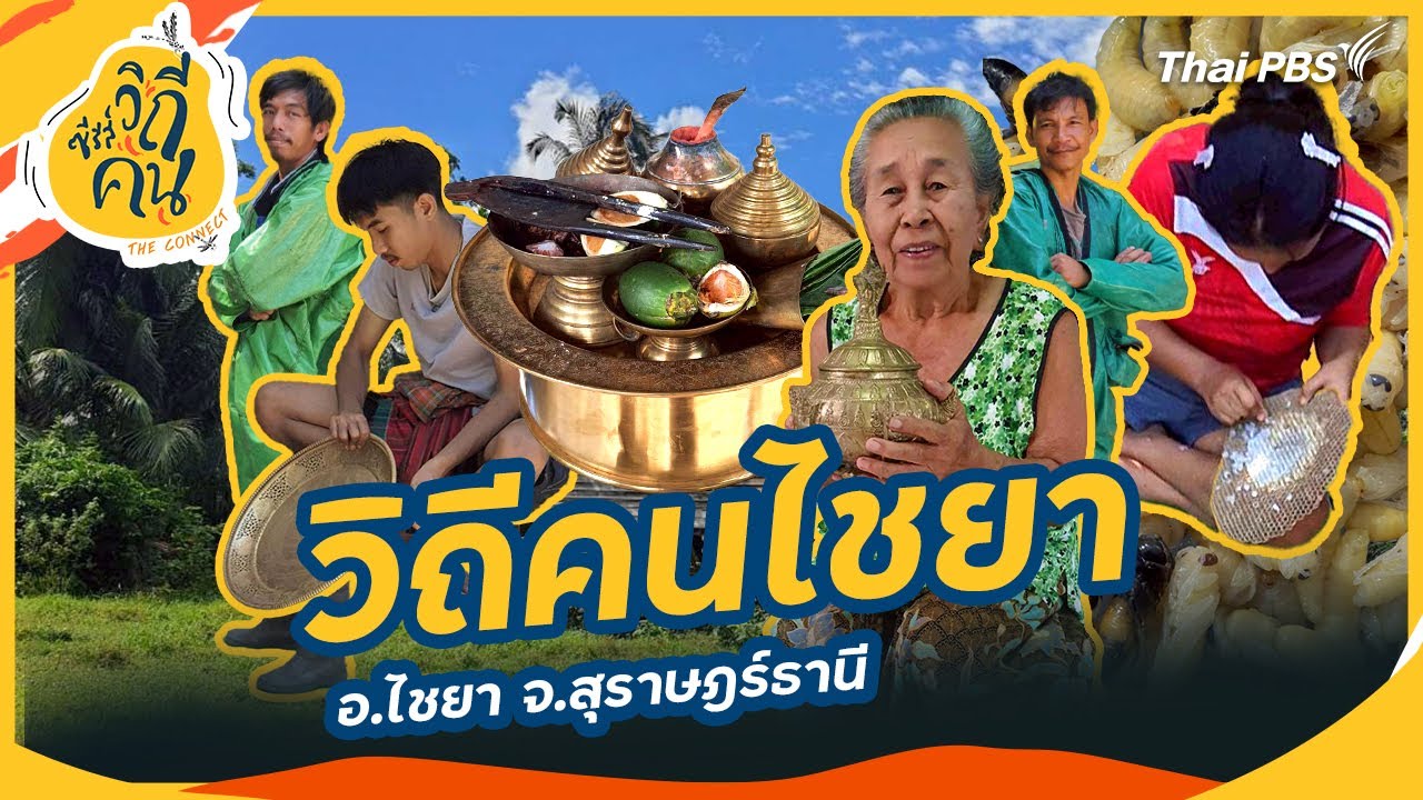 วิถีคนไชยา อ.ไชยา จ.สุราษฎร์ธานี | ซีรีส์วิถีคน