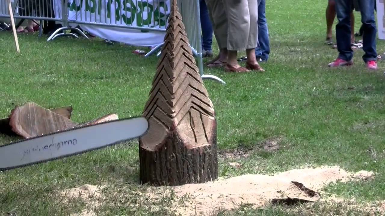 Speedcarving - Martin Wölkart