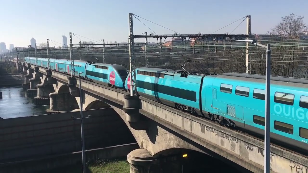 Des trains à Lyon TGV TER FRET et autre train à Lyon 2022