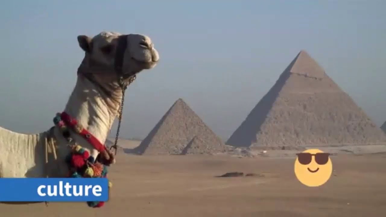 🚝 Why do we travel? 🧿Cambridge Primary Path 3 Big Question 5