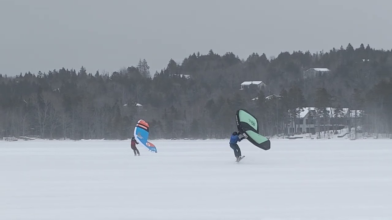 Snow Wing