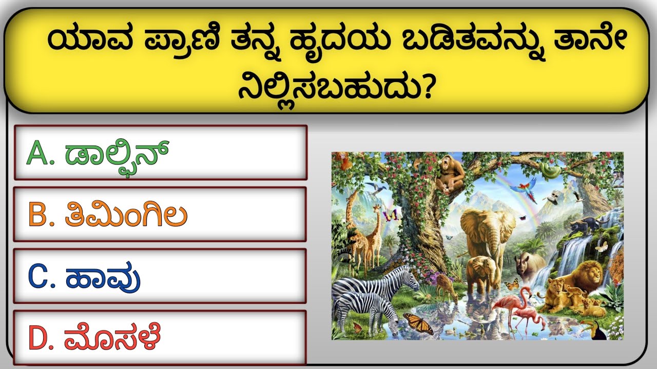 🔥 ಕನ್ನಡ ಸಾಮಾನ್ಯ ಜ್ಞಾನ ಕ್ವಿಜ್ | 10+ GK ಪ್ರಶ್ನೆಗಳು | Human Body & Science | KannadaIQ