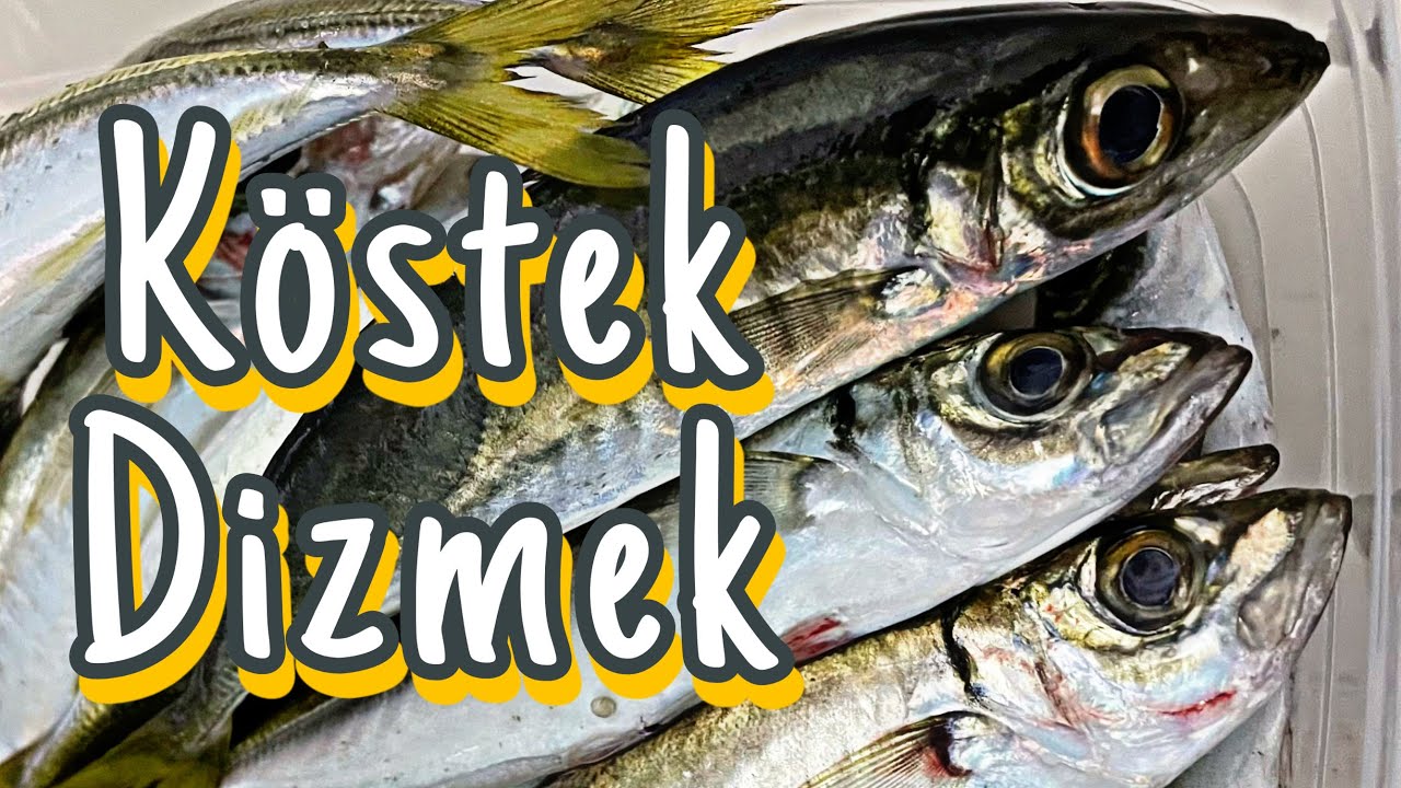 İstavrit Çapari Kösteği Nasıl Dizilir ? CANLI YAYIN