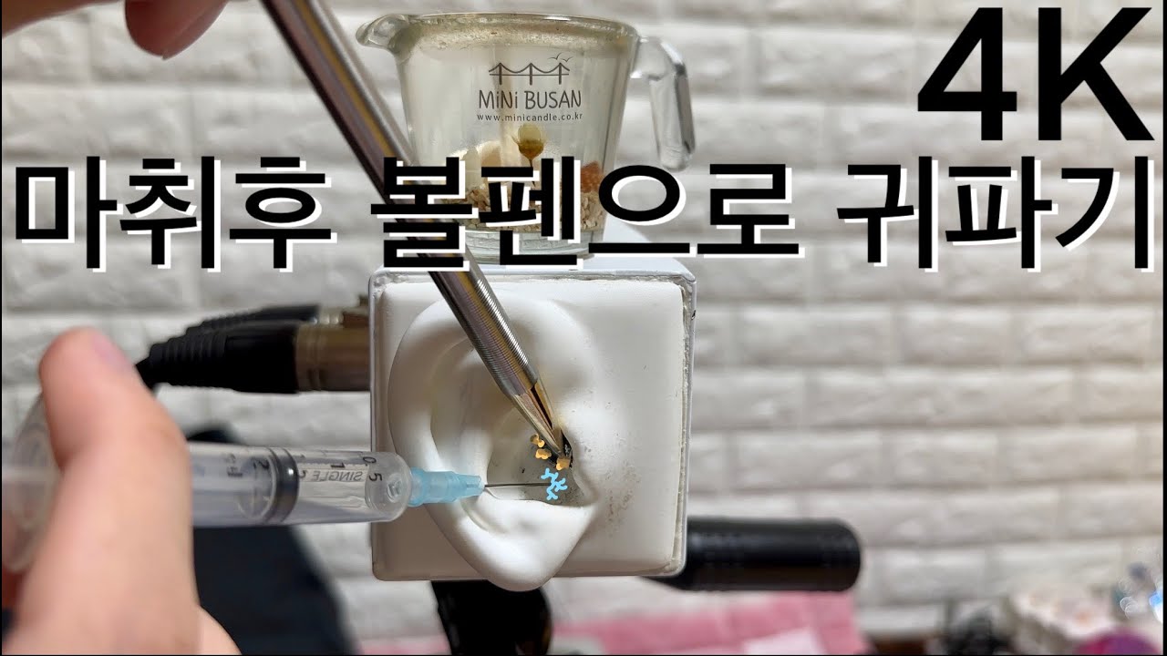 마취하고 볼펜으로 귀청소 해드립니다 - 마루