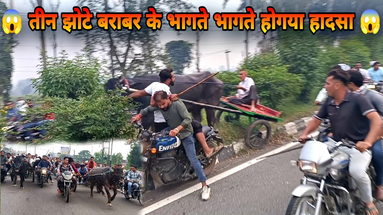Mohmandpur Mela !!  रेस में हुआ बड़ा हादसा !! तीन झोटे एक साथ !! jhota race 2024