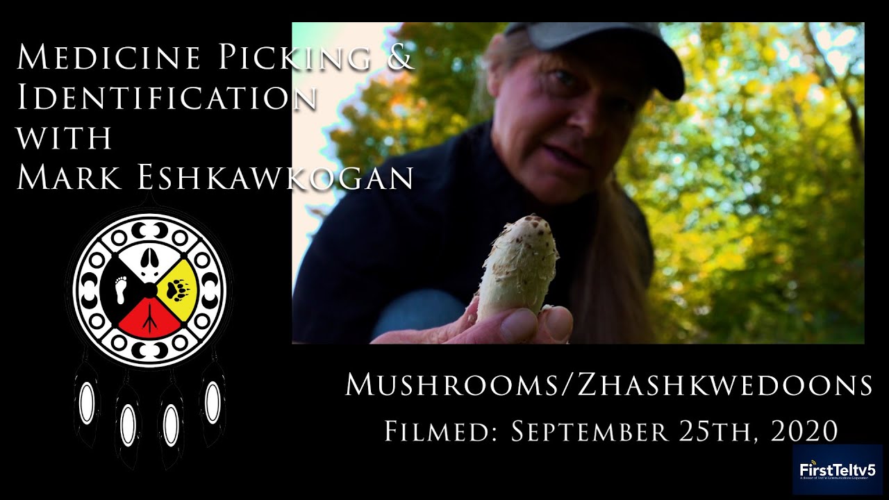 Medicine Picking & Identification with Mark Eshkawkogan - September, 2020 - Zhashkwedoons/Mushrooms