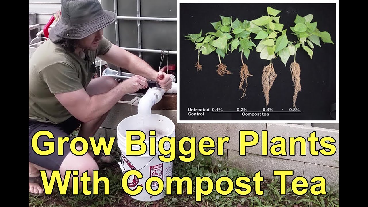 Making Organic Worm Tea Fertilizer For Your Garden - Improve Plant Size & Health