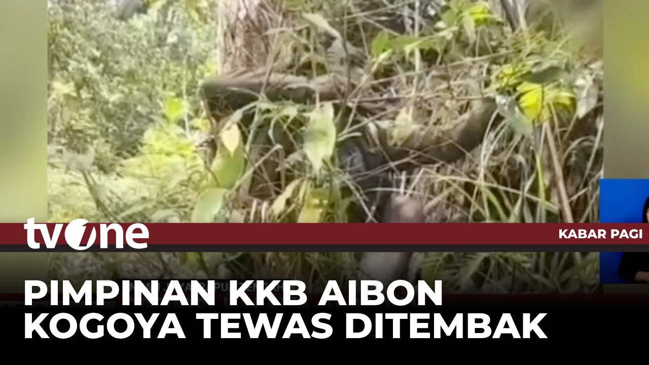 18 Anggota KKB Tewas pada Operasi Habema di Papua | Kabar Pagi tvOne