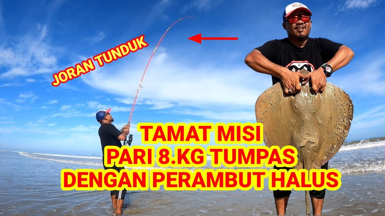 PERAMBUT HALUS STRIKE IKAN PARI 8.2kg #fishing #surfcasting #beach