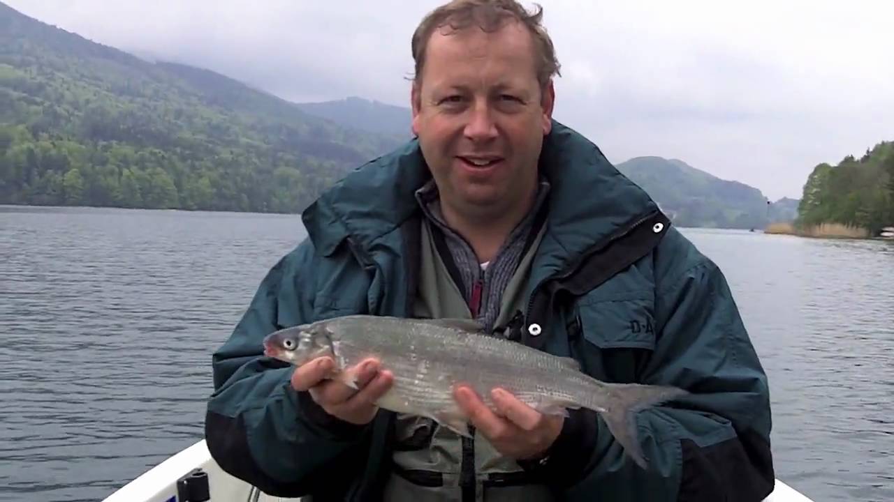 Renkenfischen am Fuschlsee
