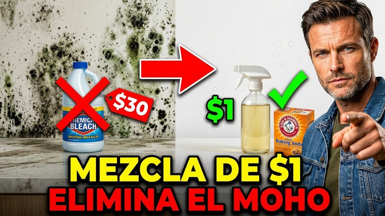 Elimina CUALQUIER Moho con una Mezcla de $1 — El Método que la Industria Intentó Borrar