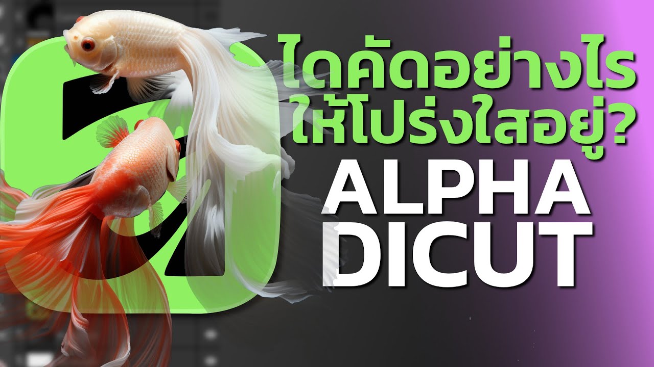 ไดคัดอย่างไรให้โปร่งใสอยู่ Affinity by canva -Alpha dicut