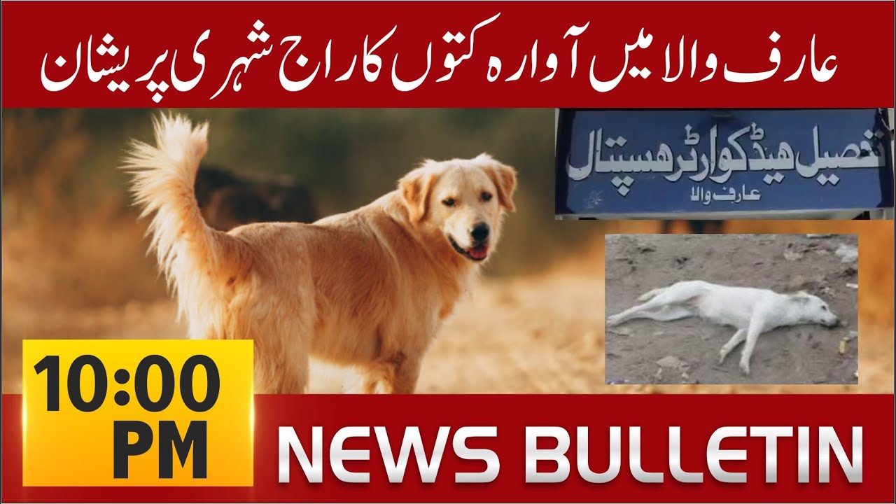 ONE POINT NEWS | 10 PM News Bulletin | Latest Pakistan News | 2026