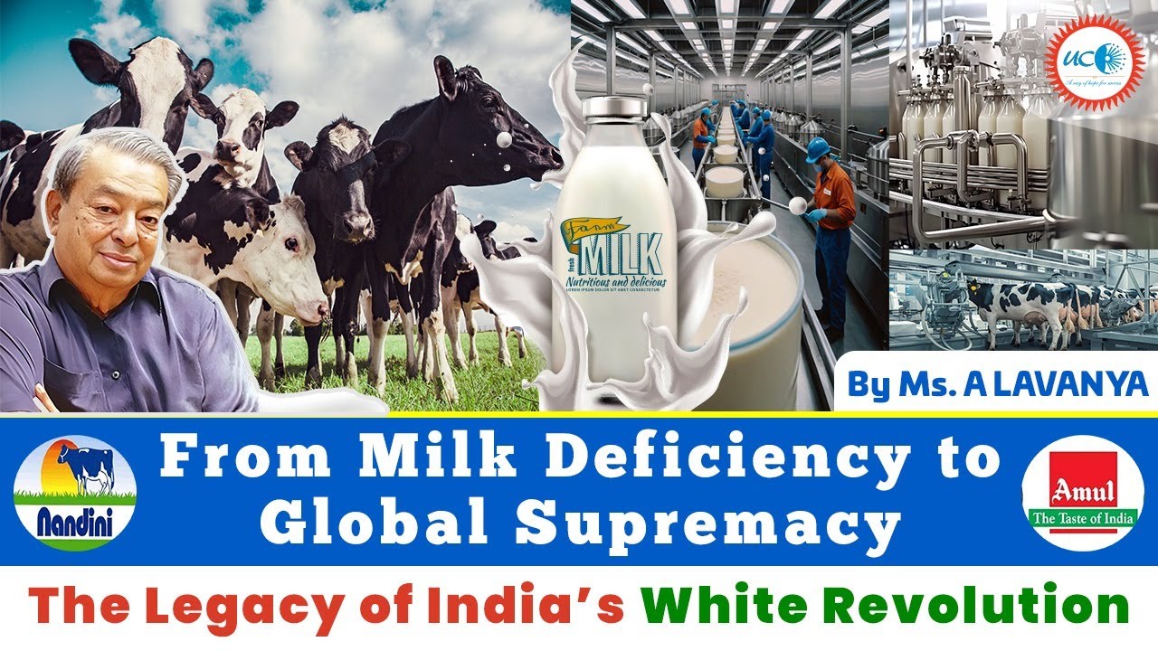 Белая революция в Индии: история молочной электростанции 🥛🇮🇳