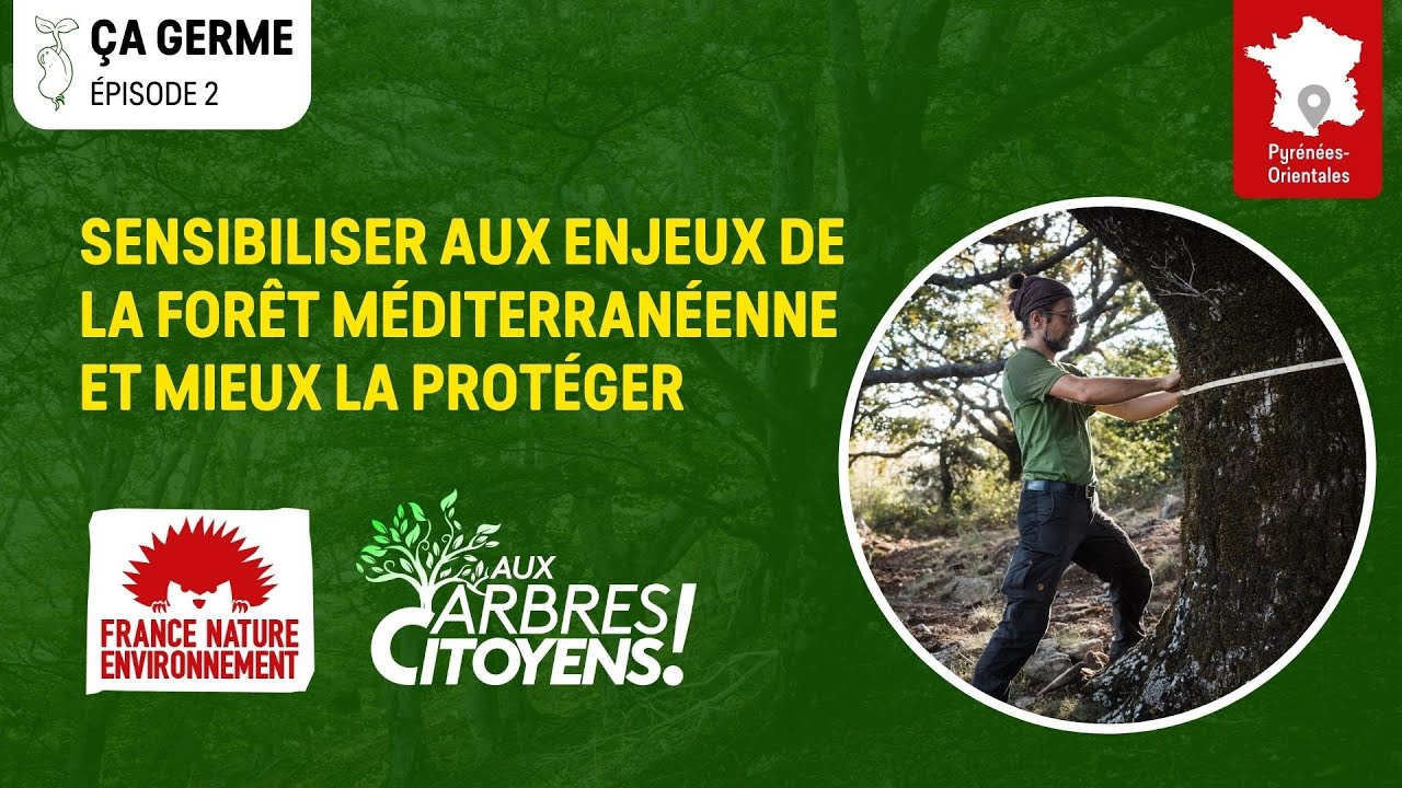 🌳 AAC - ÇA GERME [EP2] - Sensibiliser aux enjeux de la forêt méditerranéenne et mieux la protéger