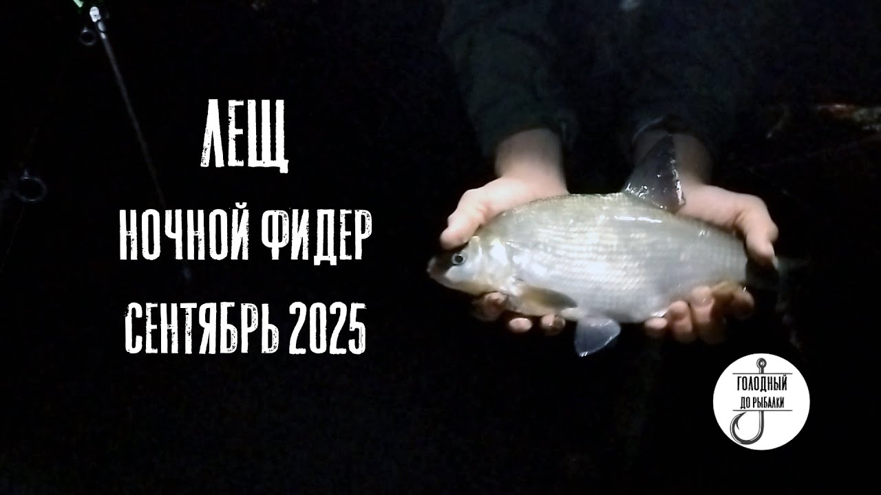 Опять на рыбалку?! Сумасшедший клёв на ФИДЕР ночью! Отрадное, камни, лещ