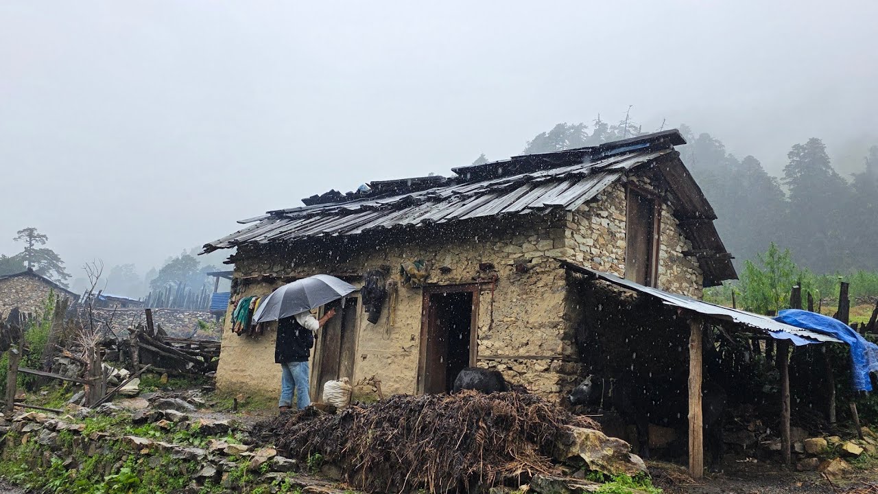 Best Rainy Day in Himalayan Village || Nepali Mountain Village Life During The Rain Season ||