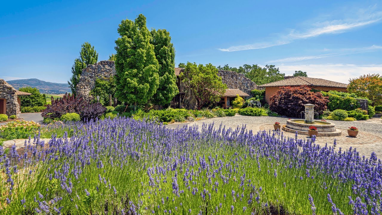 Stunning Napa Valley | 5000 Silverado Trail