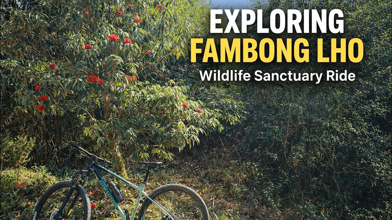 Into the wild FAMBONGLHO WILDLIFE SANCTUARY