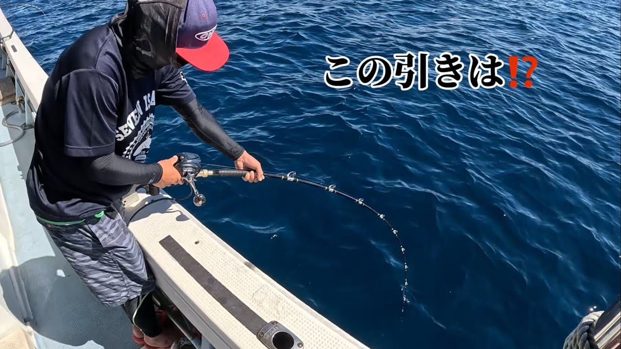 落とし込み釣りで大物を狙う‼️