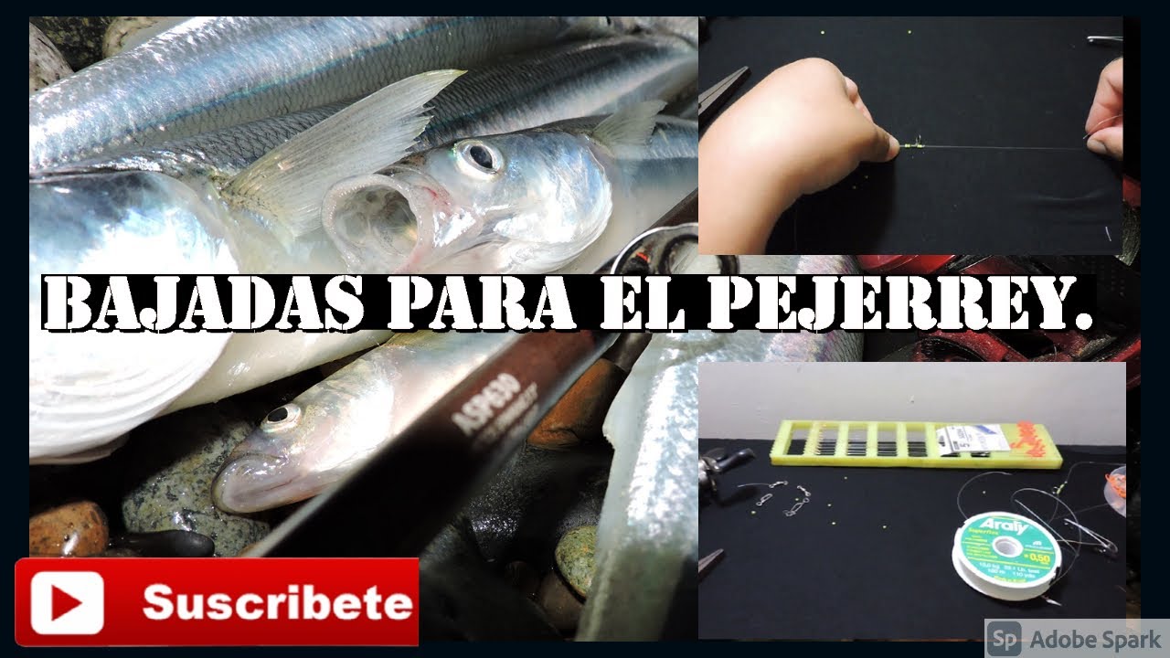 BAJADAS  CORREDIZAS PARA PEJERREY MATUNGO PATAGONICO