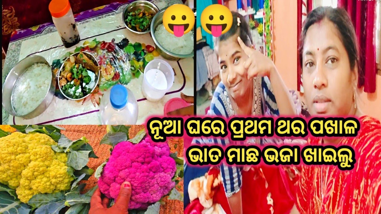 ନୂଆ ଘରେ ପ୍ରଥମ ଥର ପଖାଳ ଭାତ ମାଛ ଭଜା ଖାଇଲୁ #Odia delly vloger @raniofficiavlog 