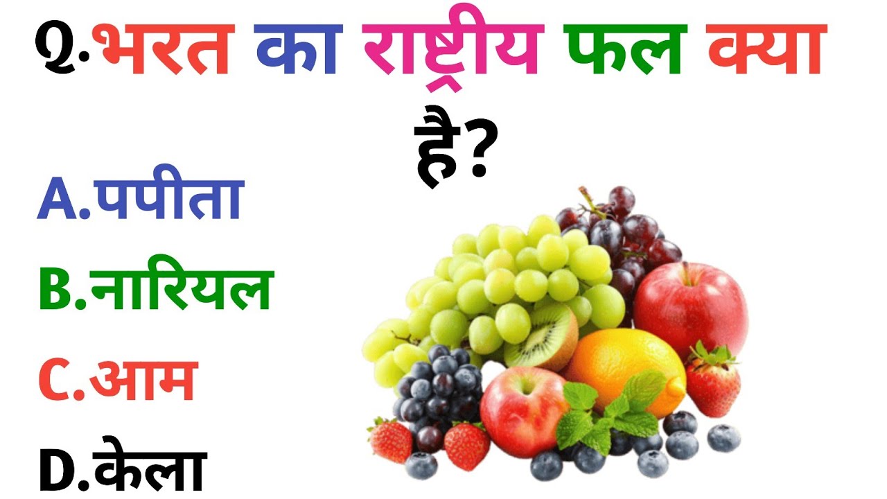 GK Question || GK In Hindi || GK Question and Answer || GK Quiz ||