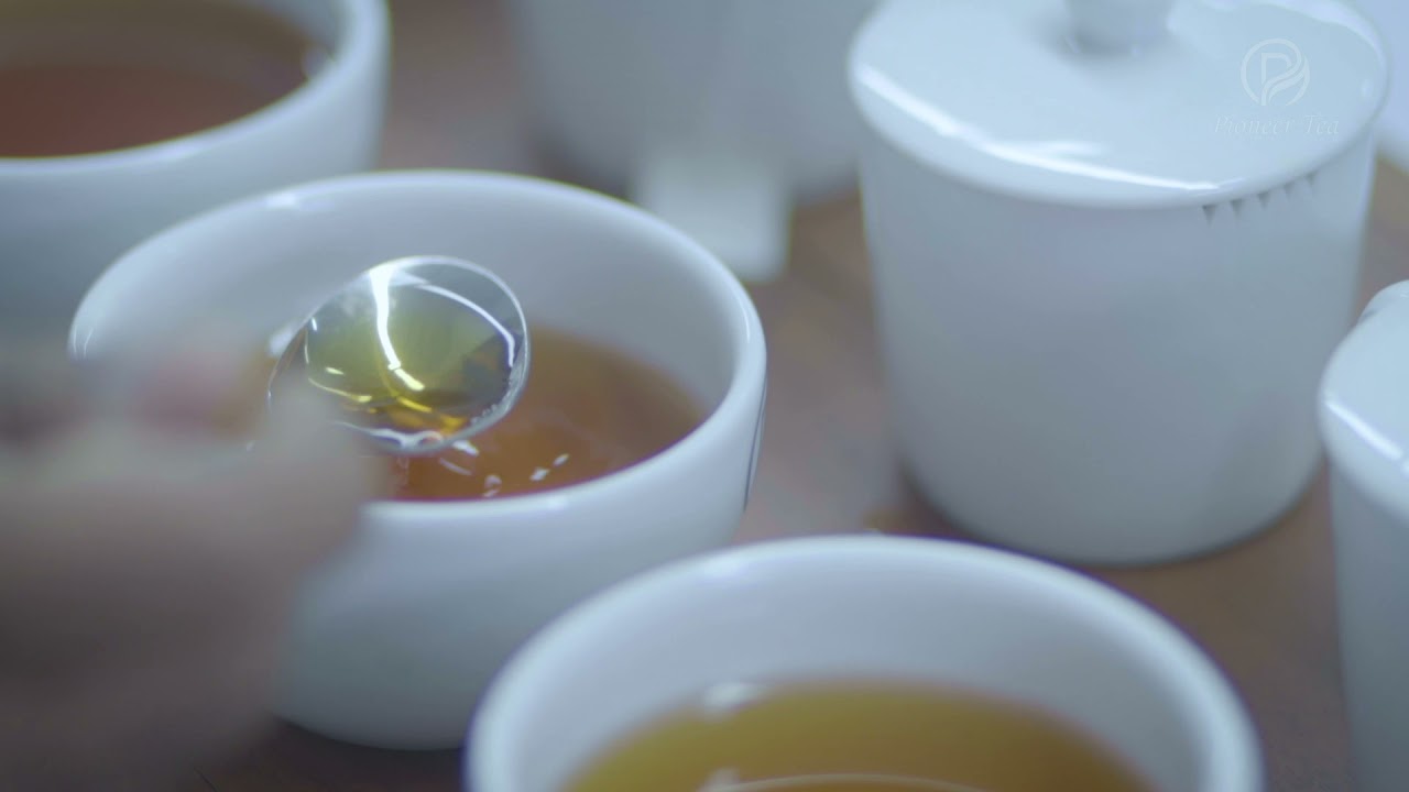 Pioneer Tea Exports Sri Lanka