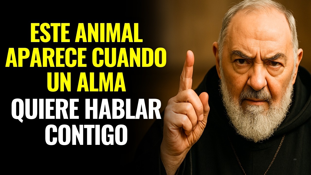 ALERTA DEL PADRE PÍO: SI ESTE ANIMAL APARECE EN TU CASA, ALGUIEN EN EL CIELO QUIERE HABLARTE