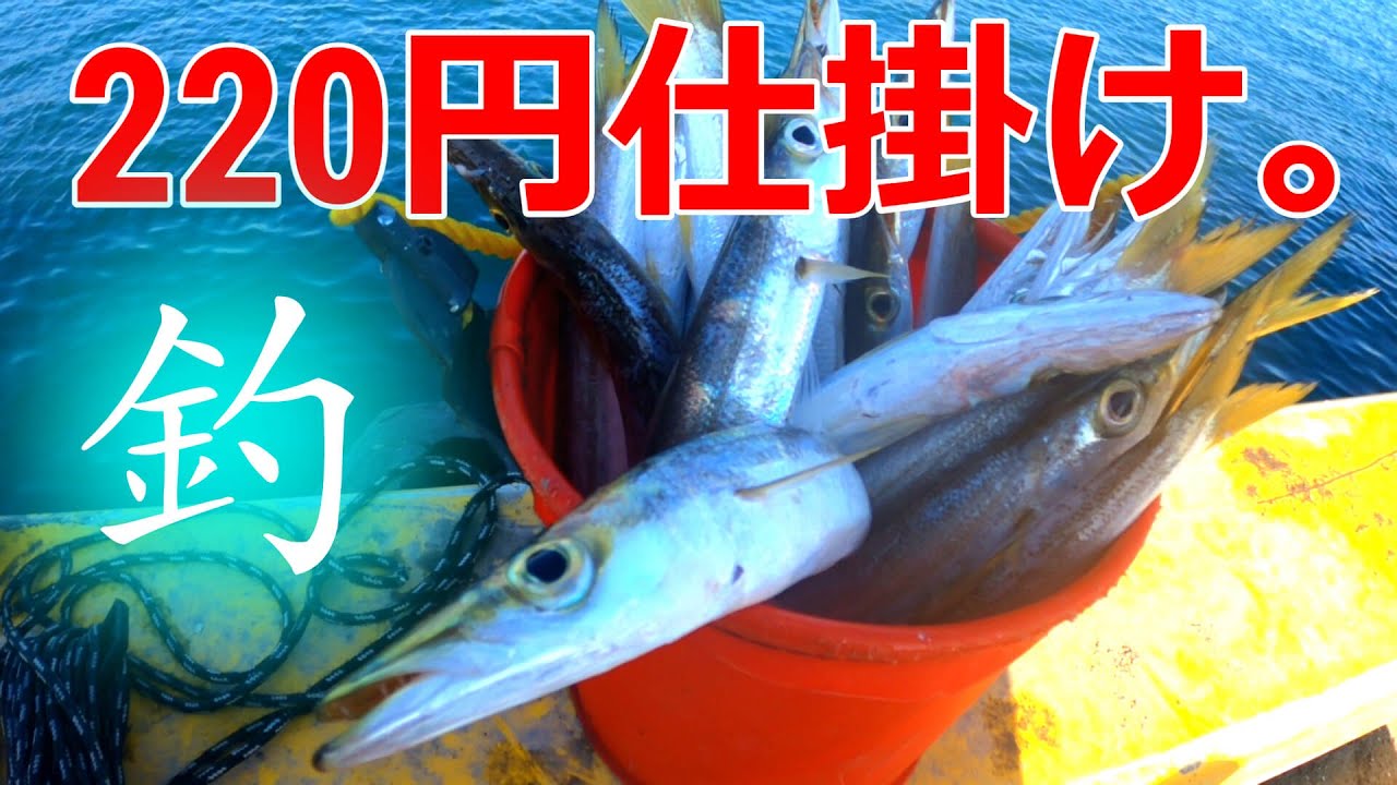 【カマス釣り】釣れない時でも、「◯◯を使えば」30分でこのありさまです。