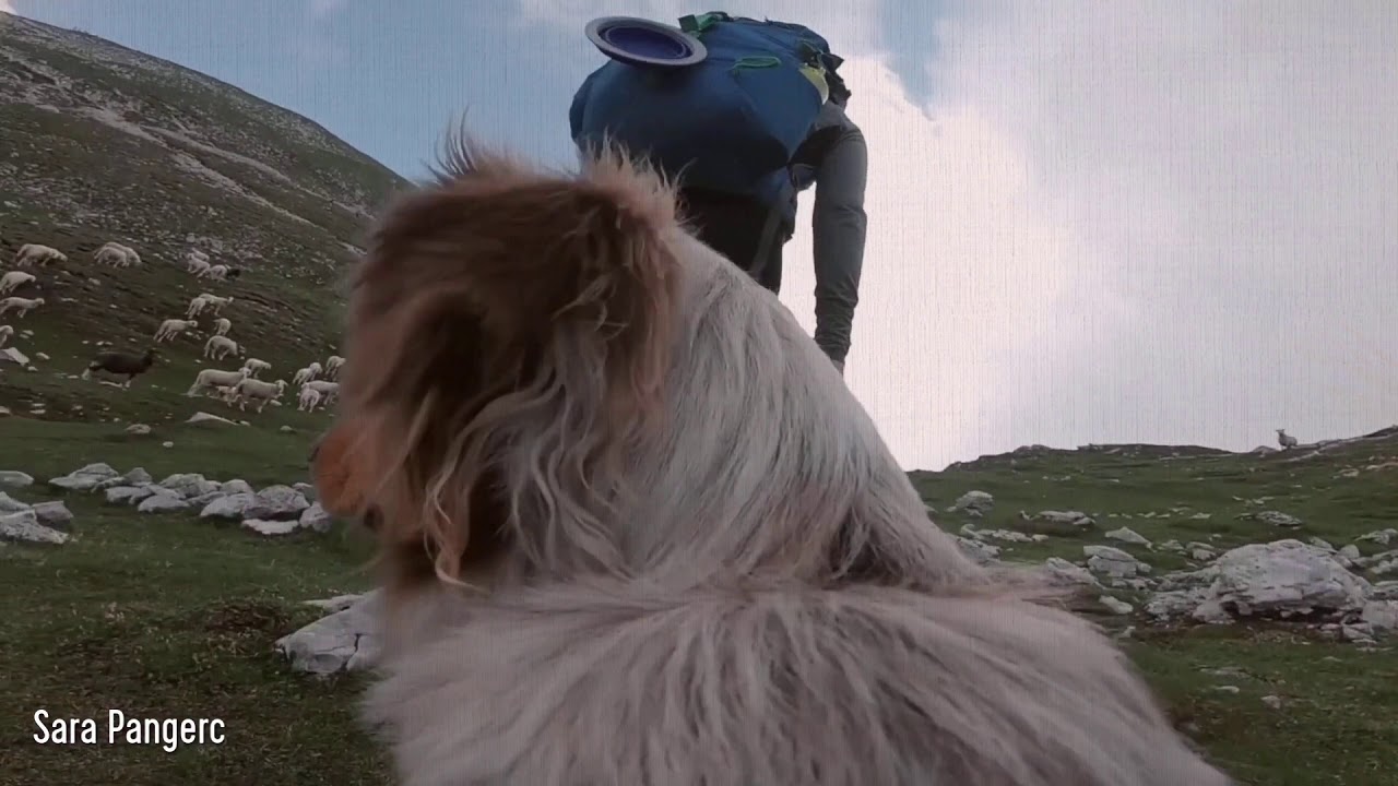 Alpe Adria Karavanke/Karawaken: Mesec doživetij v Karavankah/Erlebnismonat in den Karawanken