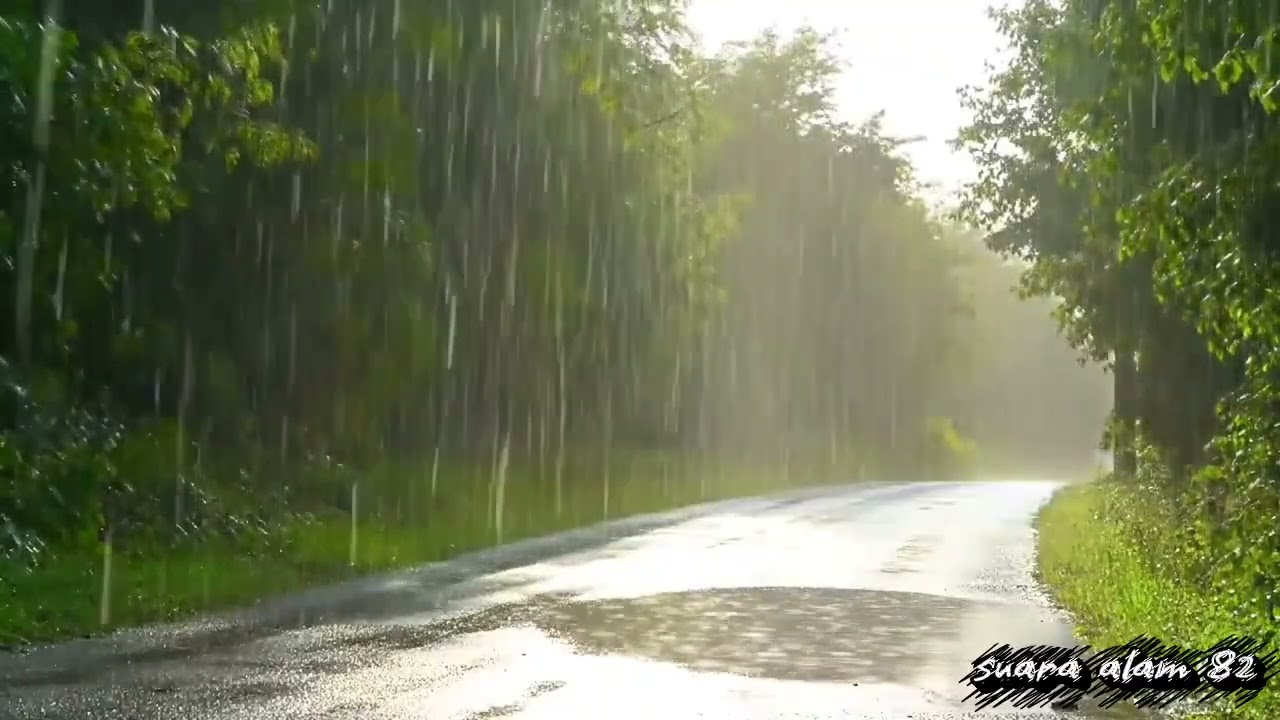Hours of Gentle Forest Rain – Relaxing ASMR for Sleep & Study 🌧️🌲#rainasmr#asmr#rain 