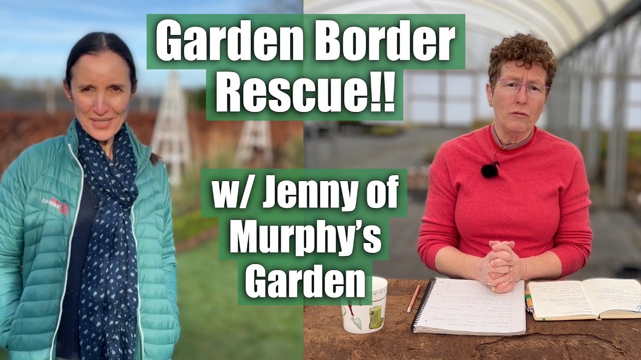 Рози спасает проблемный садовый бордюр с помощью @MurphysGarden
