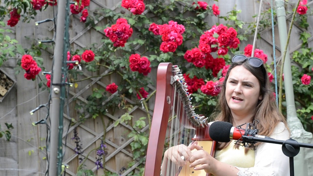 Tell Me (Dodo Green) - Sam Hickman, Singing Harpist