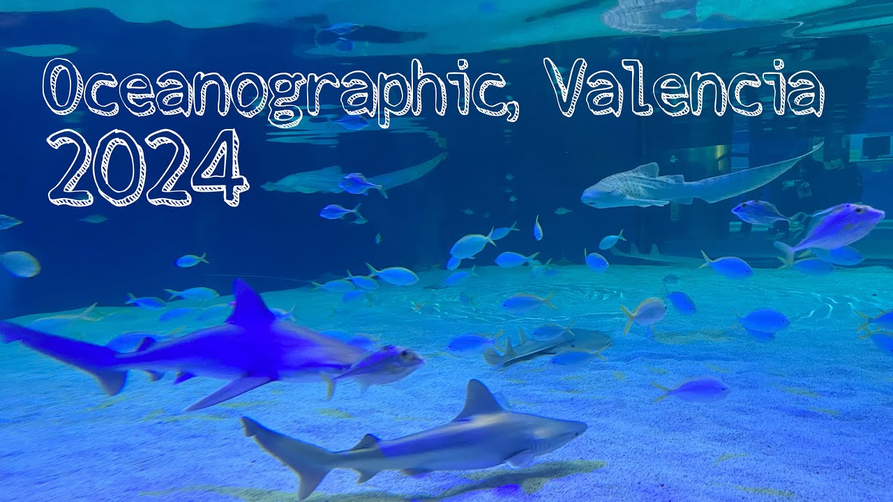 Oceanographic Valencia| 2024| TOUR and HIGHLIGHTS