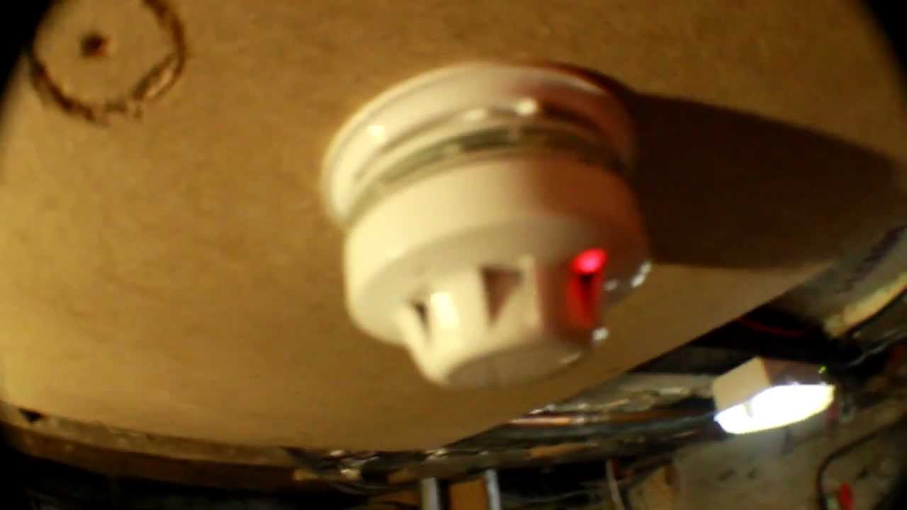 basement detector and base sounder/strobe test.