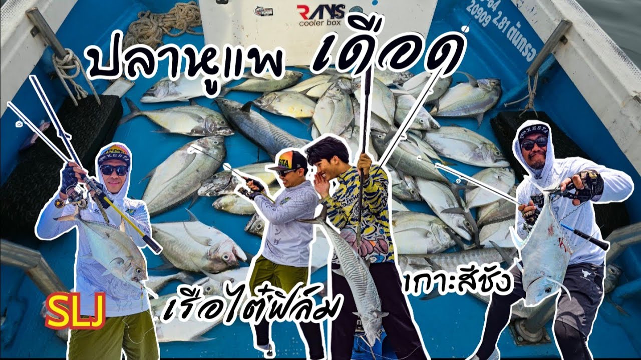 ลงเรือเกาะสีชัง ไล่นก ปลาหูแพเดือด กดกันมันเลย #เรือเกาะสีชัง #SLJ #ปลาหูแพ