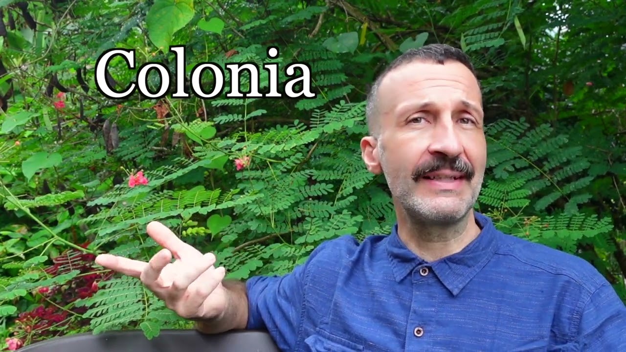 Branco, mandria, sciame