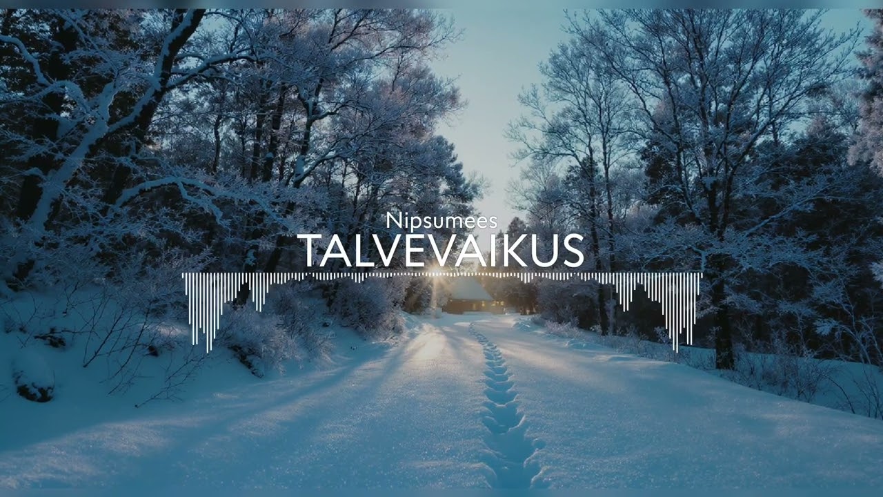 Nipsumees - Talvevaikus (Rock ballaad)