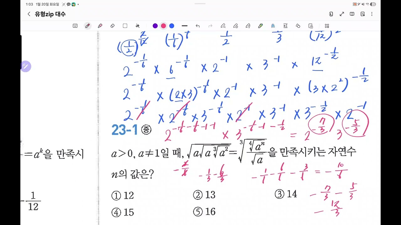 대수유형 14~20