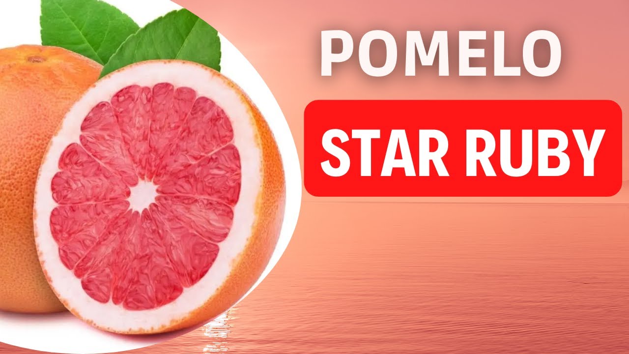 Pomelo Star Ruby