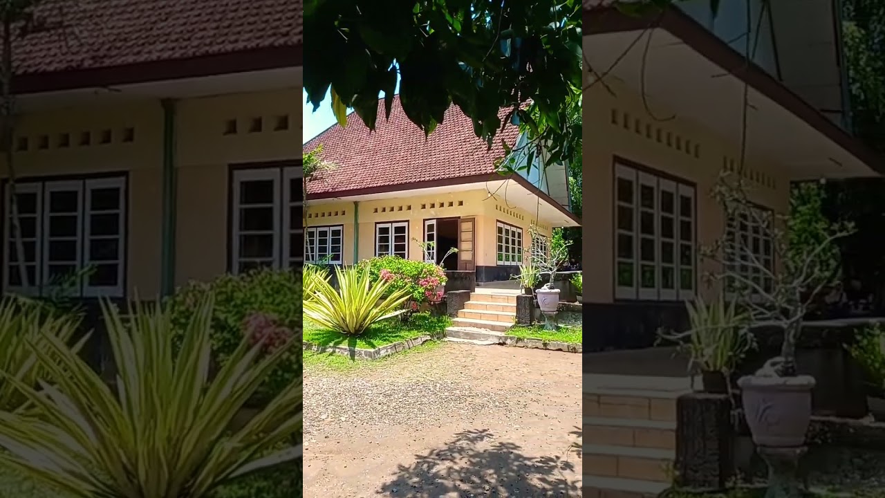 Wisata Kampung Belgia - The Treasure of Agriculture #wisata #jember