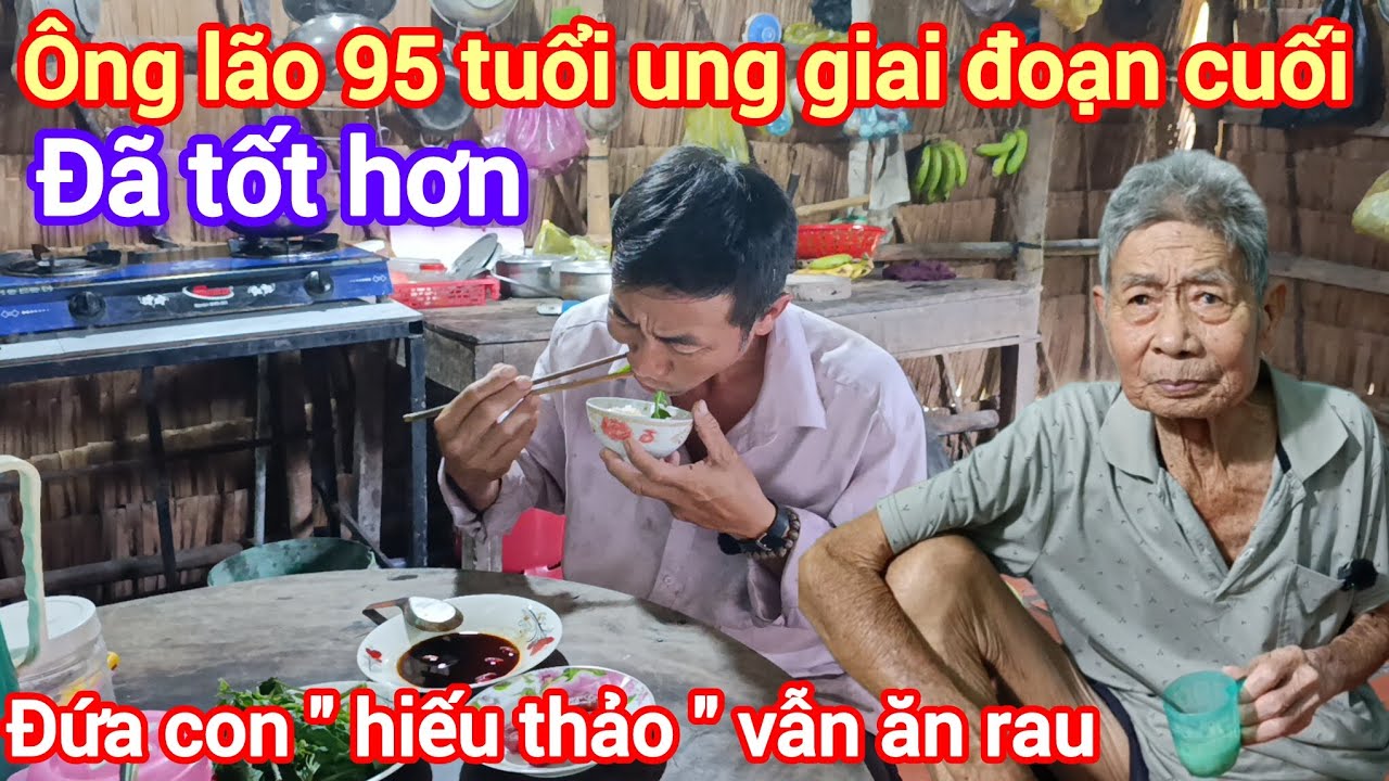 Ông lão 95 tuổi ung giai đoạn cuối đã tốt hơn , đứa con 