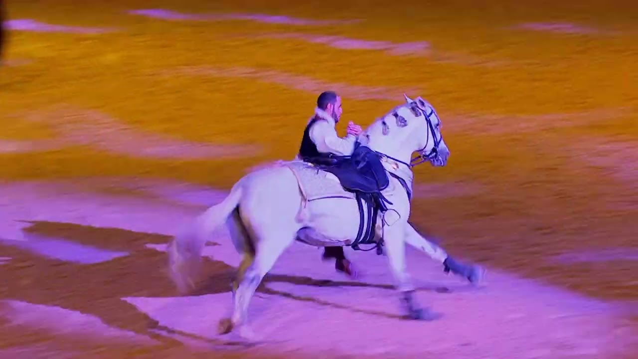 Spectacle équestre - Académie des Arts Equestres de Marrakech