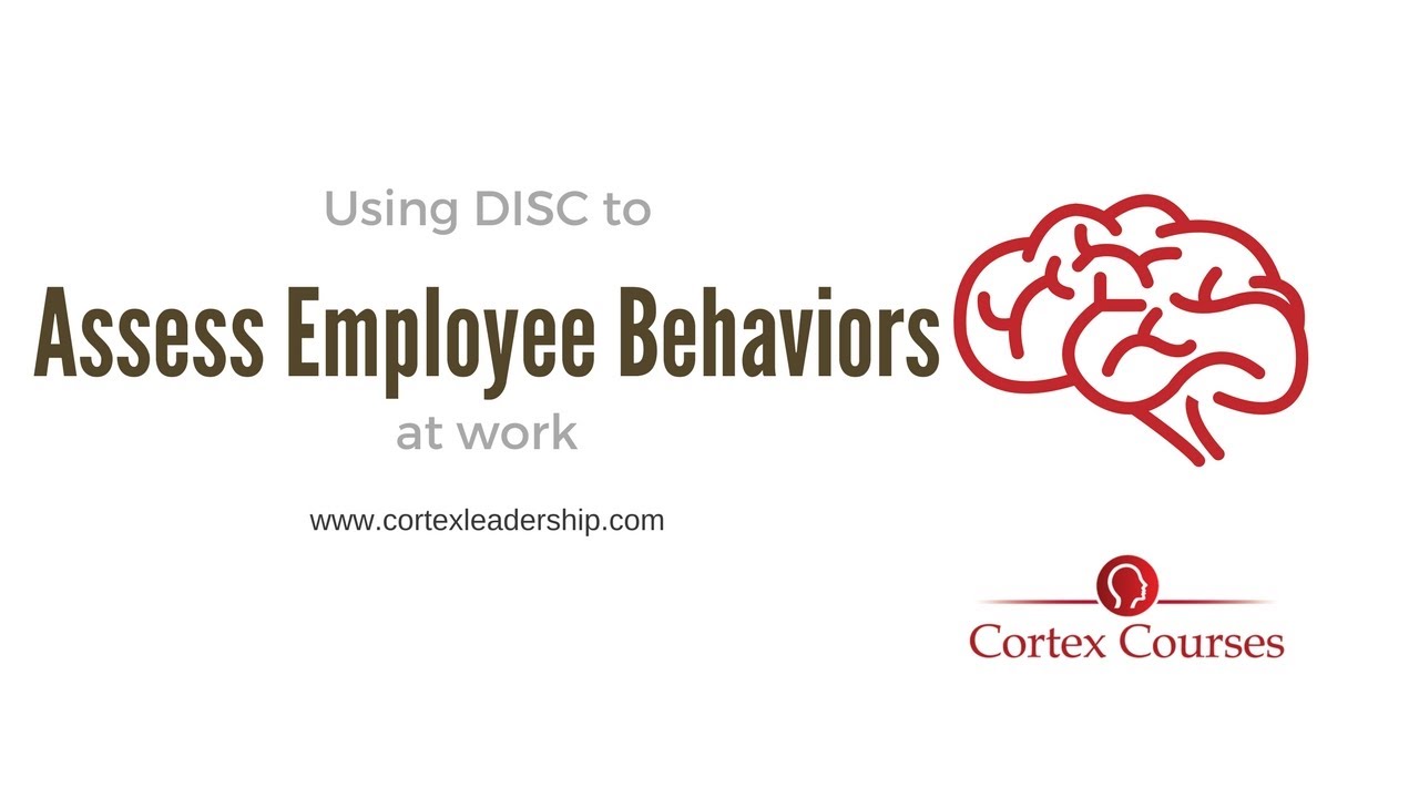 How to assess behaviors at work - Leadership Skills - DISC