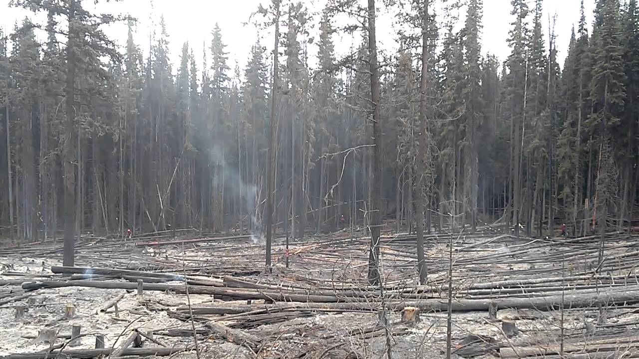BC Forest Fire
