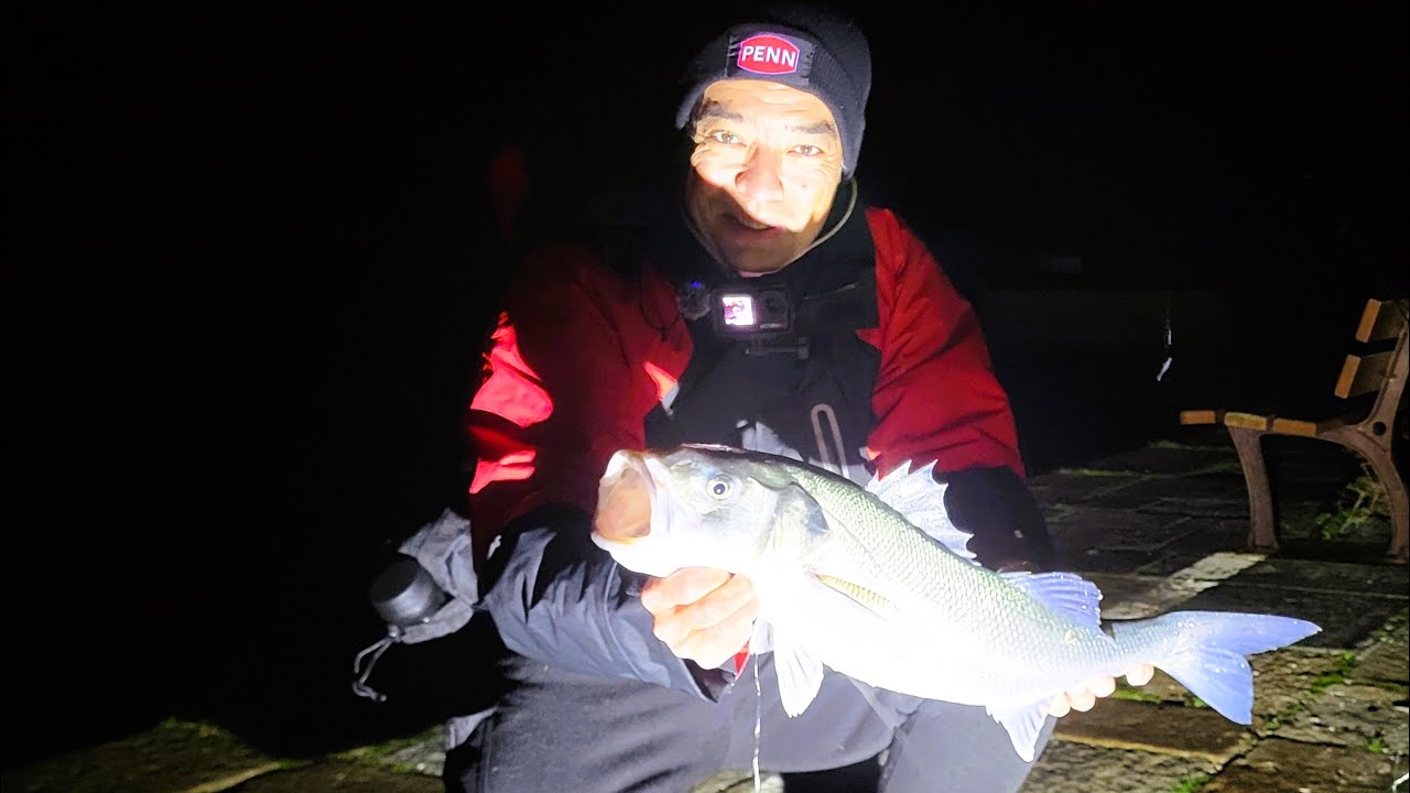 Pêche du bar la nuit dans un port  (pêche aux leurres et aux appâts )